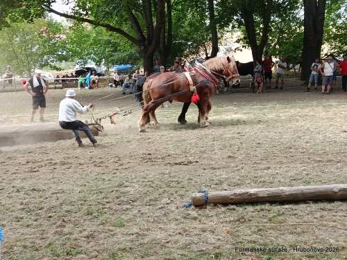 IMG_20260801_155608